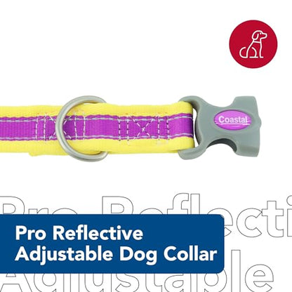Coastal Pet - Pro - Reflective Adjustable Dog Collar, Purple with Yellow, 1" x 14-20" - color: Purple with Yellow, size: 1" x 14-20" (Pack of 1)
