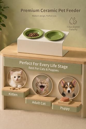 Elevated Cat Bowls 3.4 oz x2, Raised Cat Bowl Stand, Ceramic Cat Food and Water Bowl Set for Cats and Small Dogs (Green) - color: green