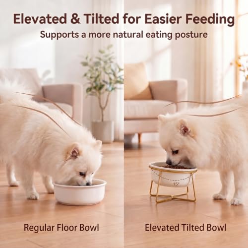White Small Ceramic Tilted Elevated Cat Dog Bowl Raised Cat Food Water Bowl Dish Pet Comfort Feeding Bowls with Gold Iron Stand - color: White, size: Small