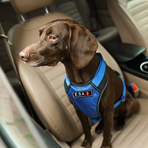 2 Pieces Emotional Support Animal Patch for Dog, Vest Removable Tactical Patches Hook and Loop Harness American Flag Dog Patches Set for Dog Harness Vest Collar - color: 2pcs, ESA