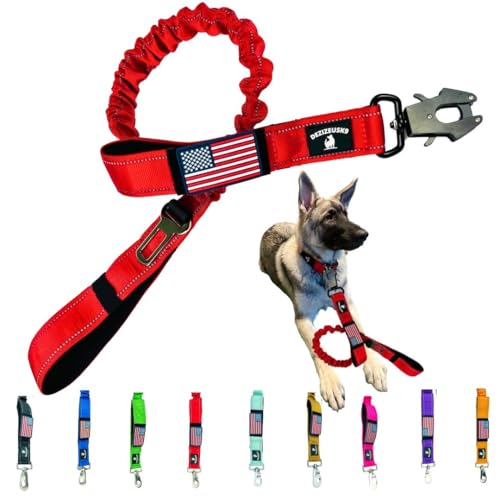 Heavy Duty Bungee Dog Leash - Shock Absorbing, Seat Belt Clip, Quick Release Frog Clasp, Double Padded Handles, for Large and Medium Dogs, Durable for Training, Walking, Car Safety, Outdoor Adventure - color: RED BUNGEE FROG