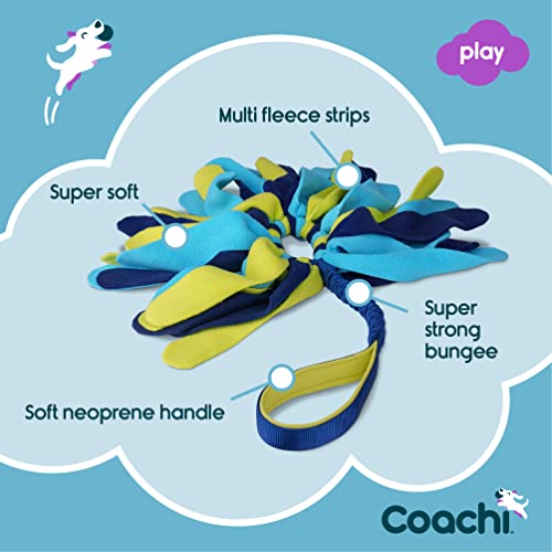 Coachi Tuggi Spider - Interactive Dog Toy for Tug of War & Play. Strong & Comfortable, Stretchy Bungee Handle, Reward Training, Interrupting Biting & Chewing. Ideal for Agility & Suitable for Puppies - style: Tuggi Spider