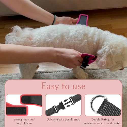 No Pull Dog Harness for Small, Medium & Large Dogs – Soft Padded, Adjustable Step-in Pet Vest with Leash Clips, Reflective Straps & Control Handle - color: Red, size: XS (Chest 13"-14.5")