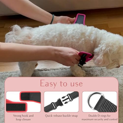 No Pull Dog Harness for Small, Medium & Large Dogs – Soft Padded, Adjustable Step-in Pet Vest with Leash Clips, Reflective Straps & Control Handle - color: Red, size: XS (Chest 13"-14.5")