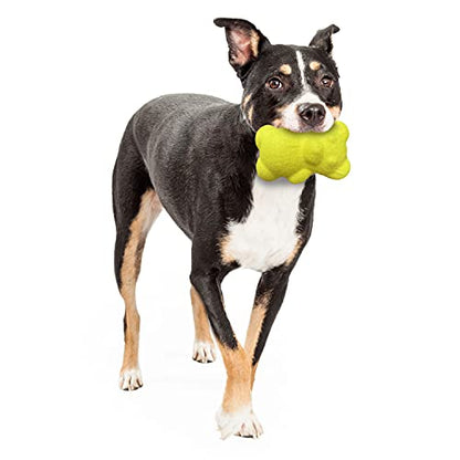 Nylabone Power Play Tennis Ball Teddy Bear Gripz Felt Rubber Fetch Toy, Squeaky Toys for Dogs, Medium (1 Count) - size: Medium (1 Count), style: Teddy