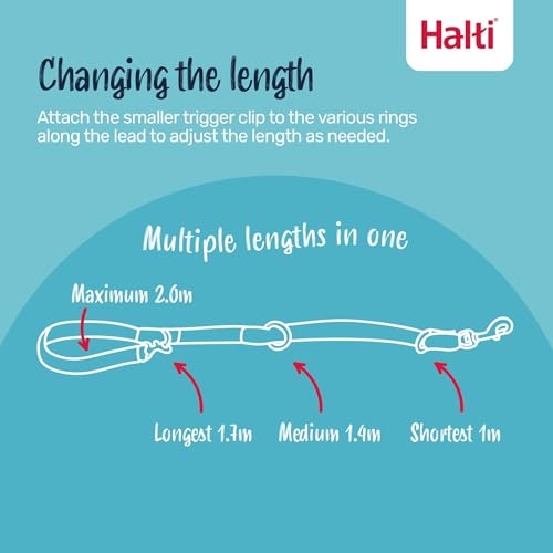 Halti No Pull Harness & Halti Training Leash Size Large, Black Combination Pack - Stop Your Dog Pulling on The Leash. Adjustable, Lightweight and Easy to Use. Suitable for Large Dogs - size: Large