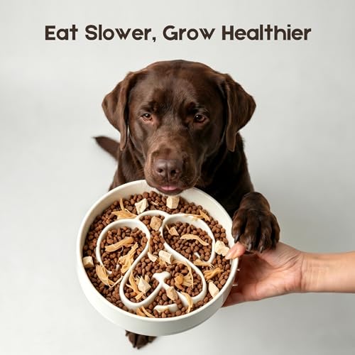 Ceramic Slow Feeder Dog Bowl, Dog Bowls 1.5 Cup Slow Feeding Bowl, Anti -Slip Pet Food Dish for Small and Medium Breed, Puzzle Dog Food Bowl for Fast Eater（White） - color: White