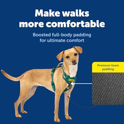 PetSafe Easy Walk Comfort No-Pull Dog Harness Full-Body Padding - Better Walks on the First Use - 5 Points of Adjustment X-Small, Green - color: Green, size: Extra Small