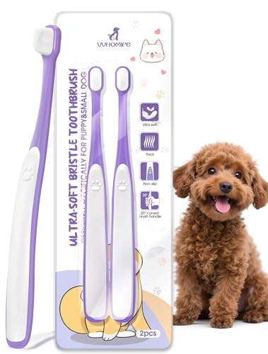 Small Dog Toothbrush, Mini Head, Soft Bristles, Under 30 lbs | Gentle Tiny Teeth Care. Curved Handle Reach. Soft Gum Comfort. Rubber Grip Control. Easy Daily Brushing. - size: 2 Count (Pack of 1)