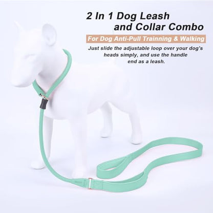 Slip Lead Dog Leash, Double Handle, Soft Leather, Heavy Duty Nylon, No Pull Walking, 5ft Mint Green - color: Mint Green, size: 5ft