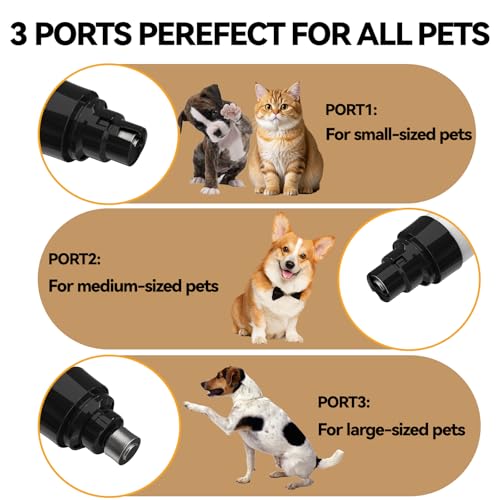 Silent Pet Nail Grinder for Dogs & Cats, 3 Grinding Heads | Professional 2-Speed Rechargeable Dog Nail Trimmer for Small/Medium Dogs & Cats, Painless Paw Grooming