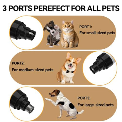 Silent Pet Nail Grinder for Dogs & Cats, 3 Grinding Heads | Professional 2-Speed Rechargeable Dog Nail Trimmer for Small/Medium Dogs & Cats, Painless Paw Grooming