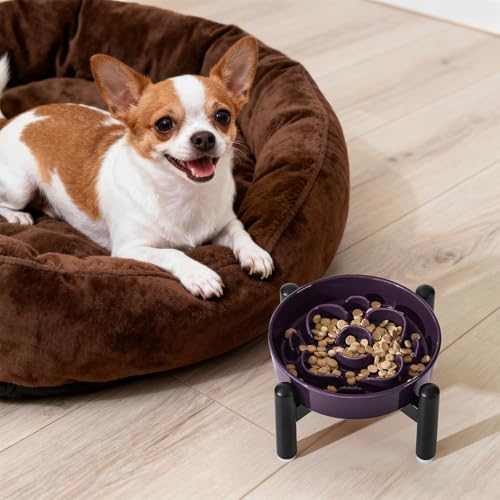 Elevated Slow Feeder Dog Bowl, 0.8 Cups Ceramic Raised Slow Feeder with Stainless Stand, 6.3 Inch Wide Lifted Dog Bowl for Small Breeds to Control Eating Speed, Purple - color: Purple, size: Small with Stand