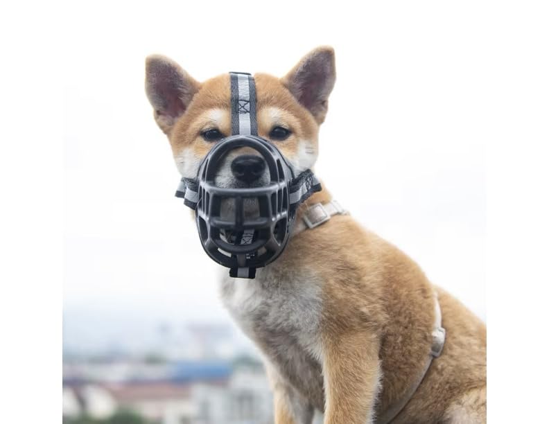 BreatheEZ Dog Muzzle – Soft Silicone Basket Muzzle for Small & Medium Dogs, Breathable Humane Fit, Prevents Biting Chewing Barking, Adjustable for Training Grooming Vet Visits - size: Small
