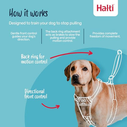 Halti No Pull Harness Size Medium & Halti Training Leash Size Large, Black Combination Pack - Stop Your Dog Pulling on the Leash. Adjustable, Lightweight and Easy to Use. Suitable for Medium Dogs - size: Medium
