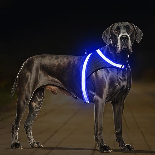 ChalkLit Light Up Dog Harness, No Pull Led Dog Harness Glow-in-The-Dark for Night Walking, USB Rechargeable Lighted Safety Vest for Medium Large Dogs, Adjustable Soft Mesh Fully Illuminated (Blue, XL) - color: Blue, size: Extra Large