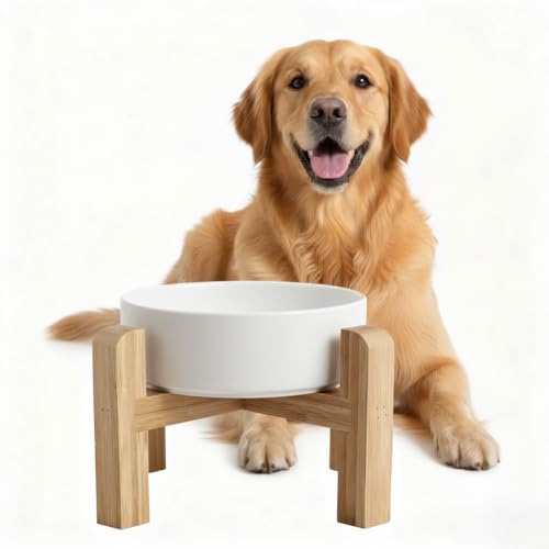 Elevated/Raised Ceramic Dog Bowl with Bamboo Stand,8 inch 7.6 Cups Non-Slip Heavy-Weighted Single Pet Dish,Reduces Neck Strain White - color: White, size: 7.6Cups - Large
