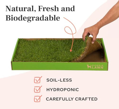 DoggieLawn Real Grass Puppy Pee Pads- 24 x 24 Inches - Perfect Indoor Litter Box for Dogs - No Mess, Easy-to-Use - Potty Training for Pets - Disposable Bathroom with Real Living Grass - size: Large 24x24 inches