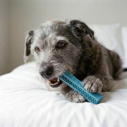Playology Dog Toys | Dental Chew Stick for Senior Dogs | Peanut Butter Scented Medium Toy | Dog Chew Toy for Healthy Teeth and Gums - size: Medium Chew Stick, style: Peanut Butter