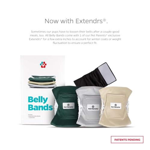 Pet Parents® Washable Belly Bands for Male Dogs (3pack) + Extendrs® of Durable Dog Diapers Male, Premium Male Dog Diapers & Dog Wraps (X-Small, Spruce) - color: Spruce, size: X-Small (11-13")