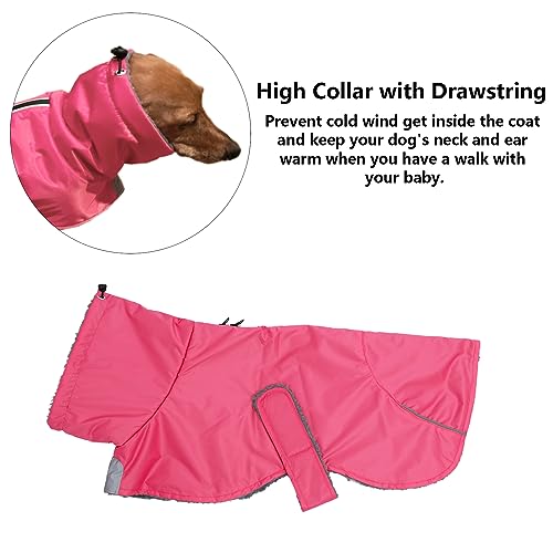Dachshund Coats Waterproof, Perfect for Dachshunds, Sausage, Weiner Dog Winter Coat with Padded Fleece, Puppy Snowsuit with Adjustable Bands and High Vis Reflective Trim - Pink - M - color: Pink, size: Medium