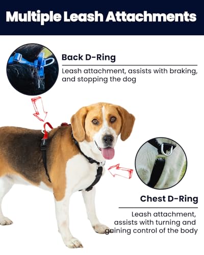 Non-Restrictive No Pull Dog Harness, Neck Buckle Design, Easy Walk Freedom Harness Keep Balance, Six Points Adjustment, for Large Dogs Chest(25-35 inches) Black - color: Black/Grey, size: L