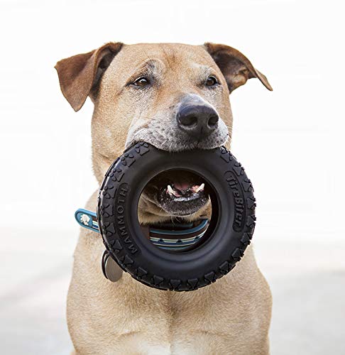 Mammoth TireBiterII – Natural Rubber Dog Toys for Extreme Chewers – Dog Toys for Extra Long Interactive Play – Aggressive Chewer Toys for Medium - Large Dogs - Large 6” - size: Large 6", style: Tire