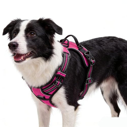 Hot Pink No-Pull Dog Harness with 2 Leash Clips，Soft Padded Vest for Small Dog, Adjustable Reflective Dog Vest Easy to Put on and Take Off,(Neck: 13"~17", Chest: 17"~21",Hot Pink Small) - color: Hot Pink, size: Small