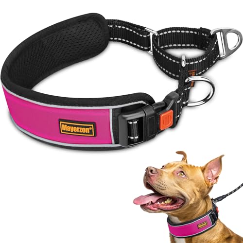 Mayerzon 2 Inch Wide Martingale Collar for Large Dogs, Patented No Pull Walking Training Dog Collar for Pitbull Bully, Heavy Duty Collar with Buckle, Reflective Stitching, Adjustable (Hot Pink, M) - color: Hot Pink, size: M: 17"-19"