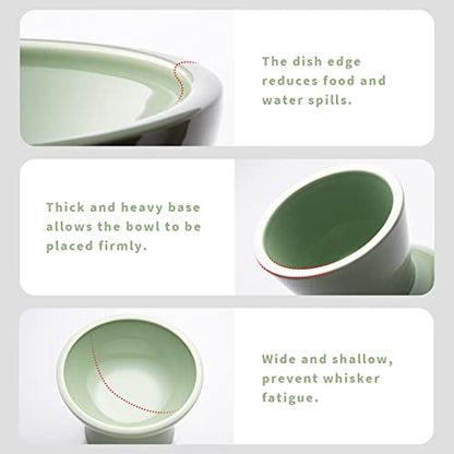 CEEFU Extra Wide Elevated Ceramic Cat Bowl, 6.2" Shallow Dish for Whisker Fatigue Relief, 5" Height for Easy Feeding, Durable Raised 2 Cat Food Bowls, Sage Green - color: Sage Green-2 Food Bowl