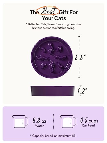 LE TAUCI PET Ceramic Slow Feeder Dog Bowls Small Breed, 0.5 Cups Dog Food Dish for Fast Eaters, Puzzle Bowl for Small Dogs and Cats, 5.5 Inch-Purple - color: Purple