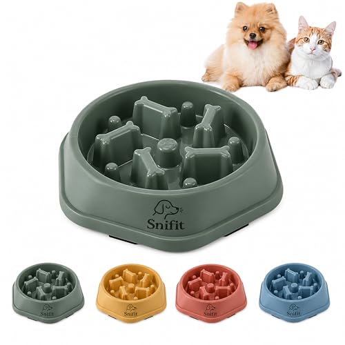 Slow Feeder Bowl for Small & Medium Cats & Dogs - Durable Slow Feeding Bowl with Non-Slip Base - Anti-Choking Puzzle Food Bowl for Dogs That Helps Mental Stimulation & Reduces Fast Eating-Green - color: Green