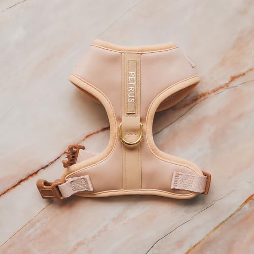 Premium No-Pull Dog Harness Soft Neoprene & Breathable Mesh Vest with Front & Back Clip D-Rings Adjustable Lightweight Walking Harness for Puppies, Small & Medium Dogs (Rose Beige, XS) - color: Rose Beige, size: XS: Neck 10.6-14.2'', Chest 14.2-18.9''