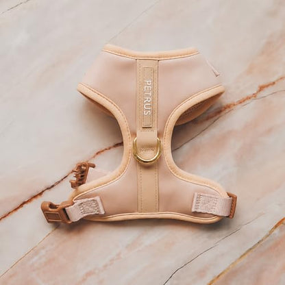 Premium No-Pull Dog Harness Soft Neoprene & Breathable Mesh Vest with Front & Back Clip D-Rings Adjustable Lightweight Walking Harness for Puppies, Small & Medium Dogs (Rose Beige, XXS) - color: Rose Beige, size: XXS: Neck=9.1-13'', Chest=10.6-14.6''