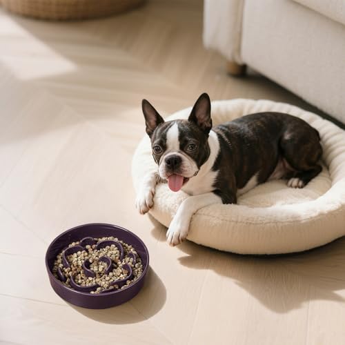 Ceramic Slow Feeder Dog Bowl, 0.8 Cups Anti -Slip Slow Feeding Bowl to Slow Down Eating, 6.3 Inch Dog Food Dish for Small Breeds, Purple - color: Purple, size: Small