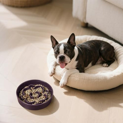 Ceramic Slow Feeder Dog Bowl, 0.8 Cups Anti -Slip Slow Feeding Bowl to Slow Down Eating, 6.3 Inch Dog Food Dish for Small Breeds, Purple - color: Purple, size: Small