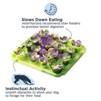 Tall Tails Succulent Foraging Mat for Dogs and Cats – Slow Pet Feeder Puzzle Mat for Easy & Engaging Feeding - color: Succulent