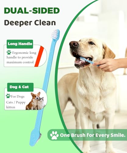 10 Pieces Pet Toothbrush Set for Medium Large Dogs, Extra Long Double-Ended Dog Toothbrush with 360° Brush, Soft Bristle Dental Care Kit with Finger Brushes, Pet Teeth Cleaning Supplies (Multicolor) - color: Modelb-10pack