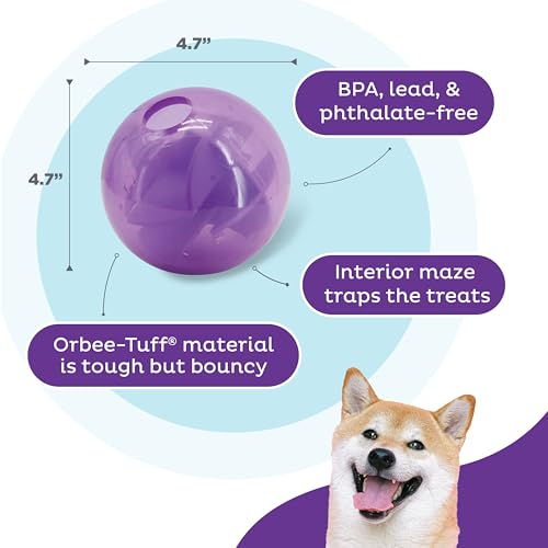Outward Hound Orbee-Tuff Mazee Interactive Dog Puzzle Toy, Treat Dispensing Slow Feeder Ball, Purple, 4.7-Inch - color: Purple