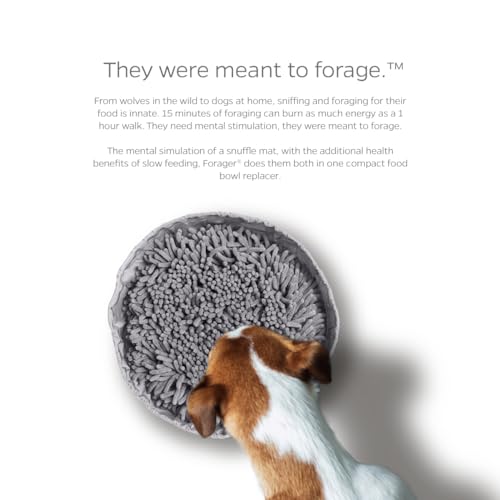 Pet Parents Forager Bowls, Slow Feeder Dog Bowls with SoftSnout & Non-Slip Backing Technology, Dog Feeder Mat & Snuffle Mat for Large Dogs and Small Dogs (Forest Modern Grey)
