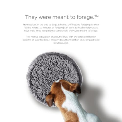 Pet Parents Forager Bowls, Slow Feeder Dog Bowls with SoftSnout & Non-Slip Backing Technology, Dog Feeder Mat & Snuffle Mat for Large Dogs and Small Dogs (Forest Modern Grey)