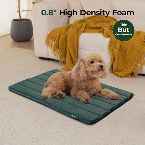 BALANCE Dog Crate Pad, Dog Foam Crate Mat Kennel Pad, Washable Water-Resistant Pet Bed Flat Dogs Cage Mat for Medium Dogs - color: Green, size: 30.0"L x 19.0"W x 0.8"Th