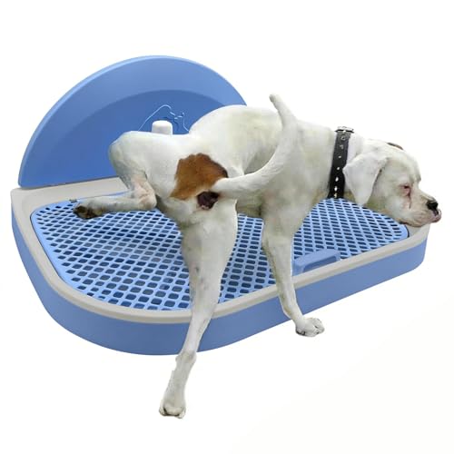 Tfwadmx Pee Pad Holder Dog Potty Tray with Splash Guard & Center Post Mesh Training Toilet Potty Tray Puppy Pad Holder for Puppy and Small Size Dog (Blue, 22.4"×17.7")