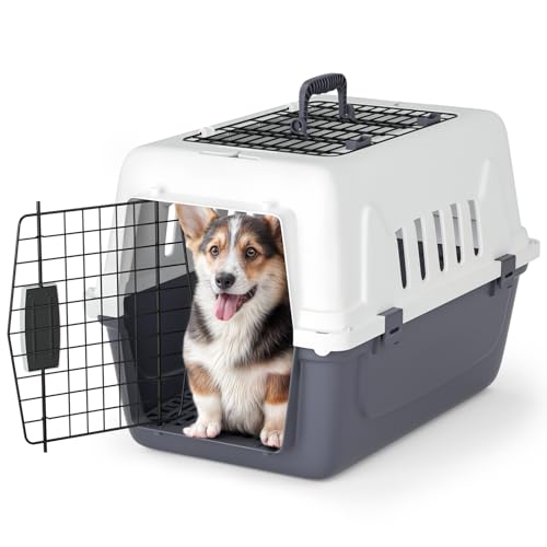 Magshion 22 Inch Hard-Sided Plastic Dog Carrier, 2-Door Top-Loading Kennel for Small Dogs and Cats Longer Traveling, Durable Handle, and 4 Sides Ventilation for Pet Up 22 lbs (White+Grey) - color: White+Grey, size: 22.0"L x 14.5"W x 15.0"H