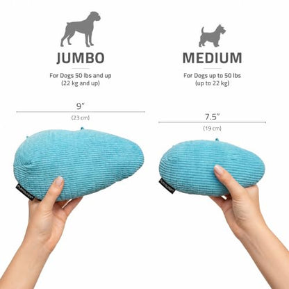 Playology Dog Toys | Plush Toy Crinkle Egg for Large Dogs | Peanut Butter Scented Jumbo Plush Chew Toy - size: Jumbo Egg, style: Peanut Butter