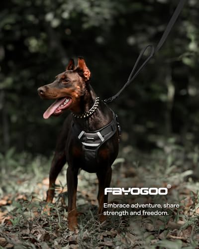 FAYOGOO Dog Leash 6FT - Heavy Duty Dog Leash with Traffic Padded Double Handles - Safety Control Traning Leash for Large Medium Dogs - color: Black