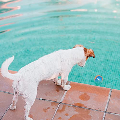 BINGPET Dog Pool Toy,2 Pack Water Floating Ball for Summer Pool Games,Dog Water Bouncing Balls,Interactive Dog Summer Games Toys,Soft Dog Chew Balls for Small and Medium Dogs - color: Orange