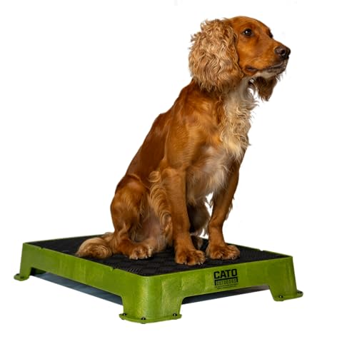 Cato Board - Dog Training Platform - Made in The USA (Olive Green, Rubber Surface) - color: Olive Green