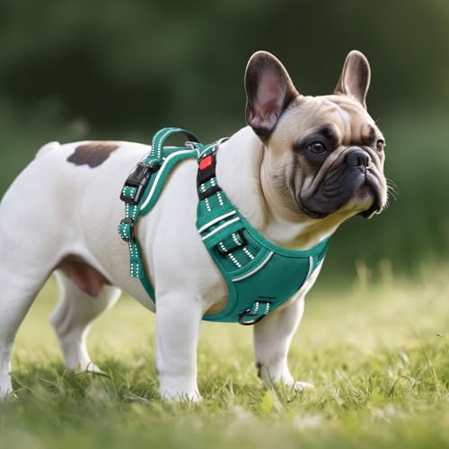 Timos Dog Harness Small Sized, No Pull Pet Harness with Neck Lockable Snap, No Choke Front Clip Reflective Vest, Adjustable Metal Rings 3 Buckles, Easy Control Handle for Small Dogs Grass Green S - color: Lock Grass Green, size: Small (Pack of 1)
