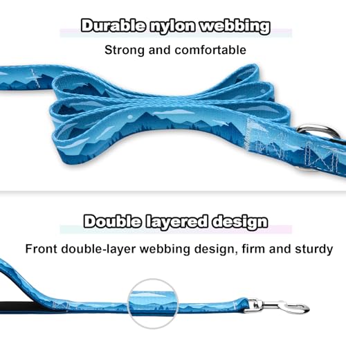 6ft Dog Leash with Two Padded Handles, Heavy Duty Strong Nylon Pet Leash with Soft Neoprene Handle for Medium and Large Dogs, Blue Sunset - color: Blue Sunset, size: 1 in x 6 ft